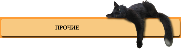 ПРОЧИЕ